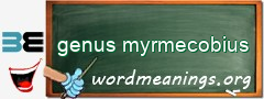 WordMeaning blackboard for genus myrmecobius